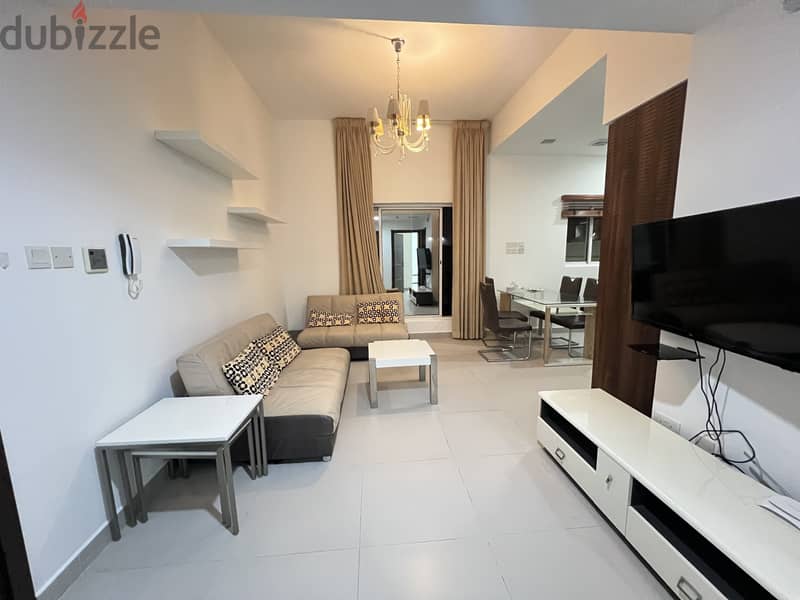 Spacious Furnished 2Bedroom Apartment 0