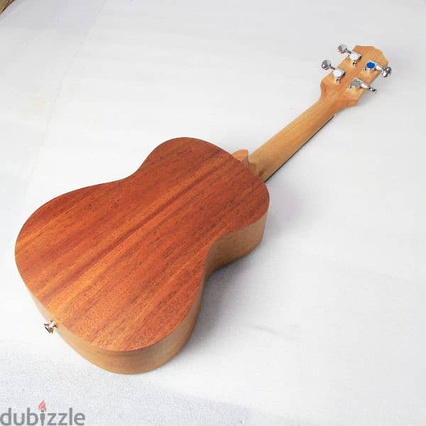 Brand New Concert Ukulele 1