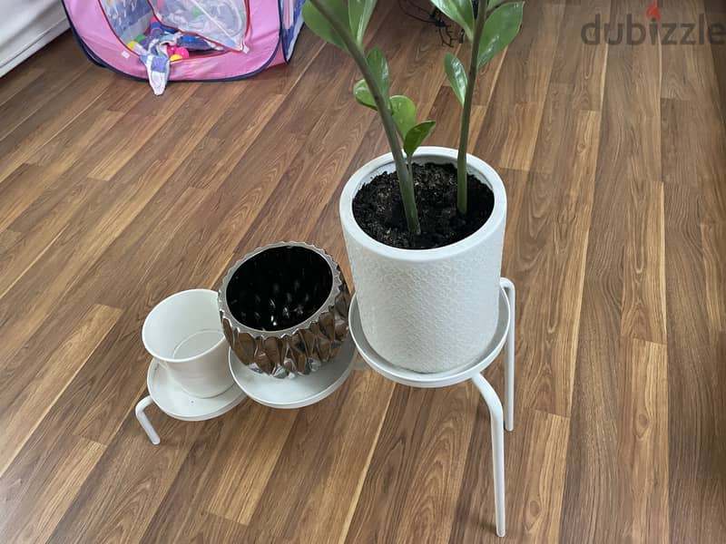 Planter stand and 3 pots 1