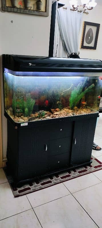 Aquarium