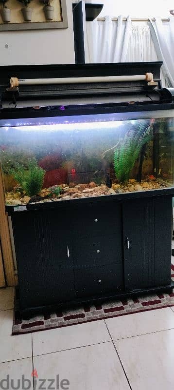 Aquarium big Size - Urgent Sale 1