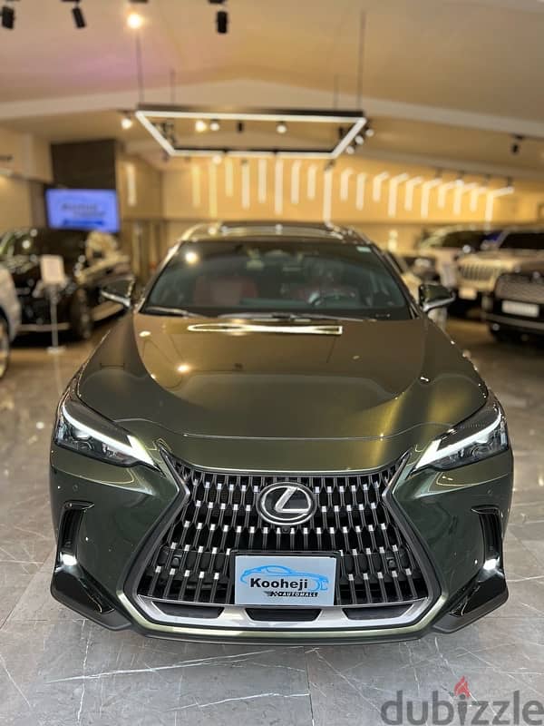 Lexus NX 2024 1