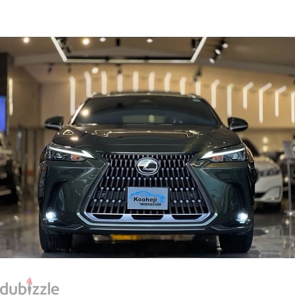 Lexus NX 2024 2