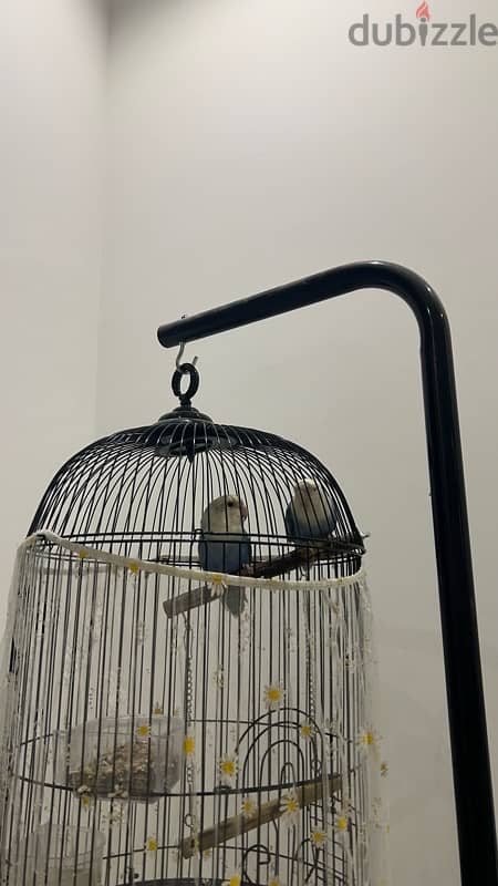 love birds with stand cage 1