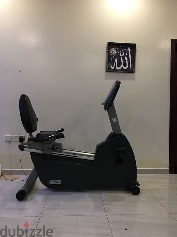 nautilus recumbent bike 2