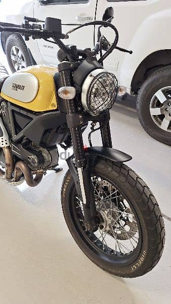 Ducati Scrambler 800 for SALE 1