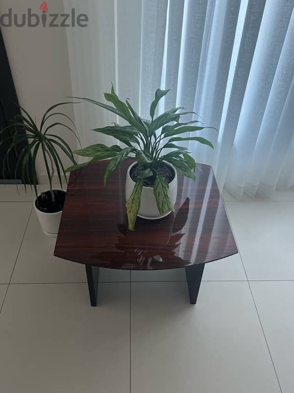 excellent conditon coffee table (two size available) clearance price 2