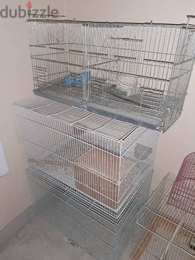 bird cage for sale