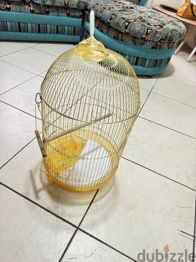 Bird cage for sale