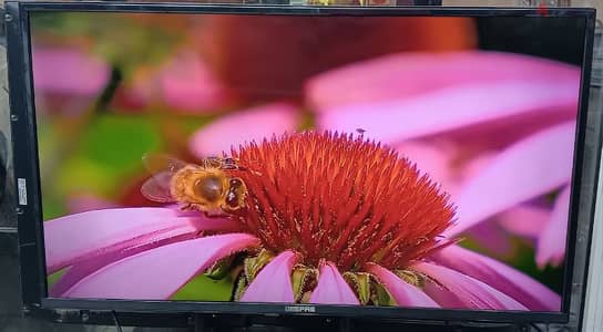 Geepas led TV smart 4k for sale