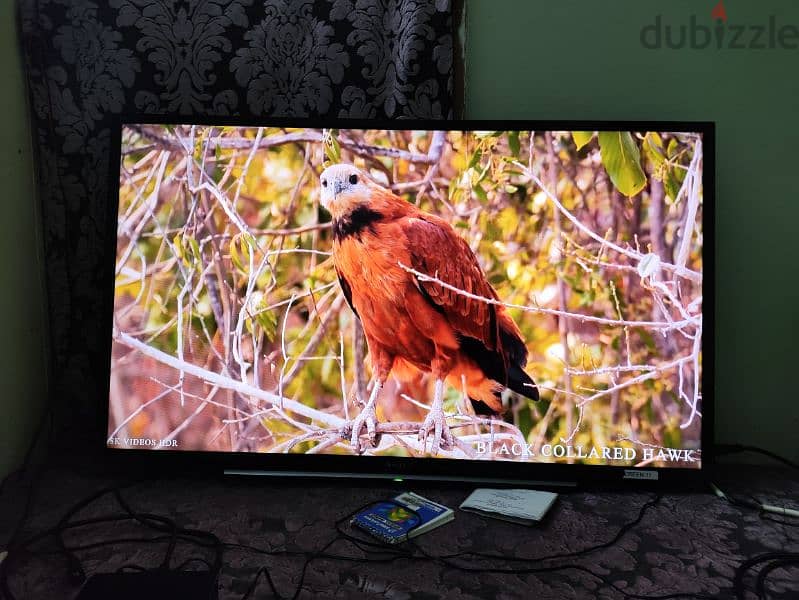 SONY LED 40 INCH TV FOR SALE 1