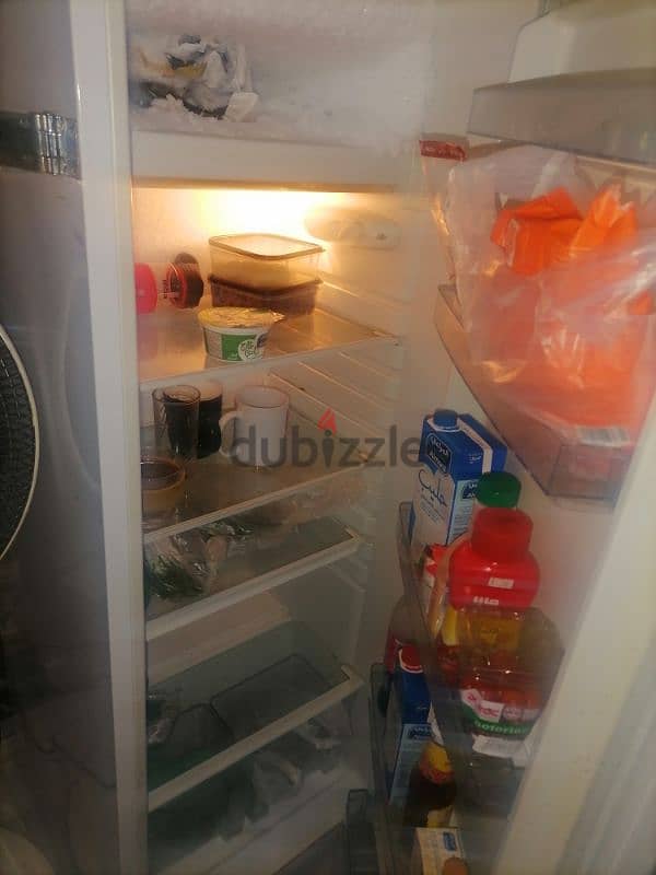 Fridge 1