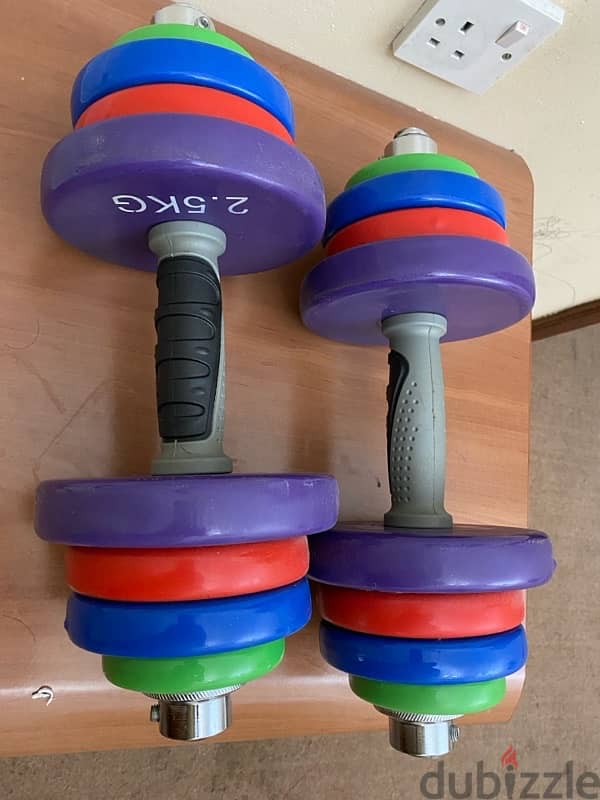 dumbbell 1