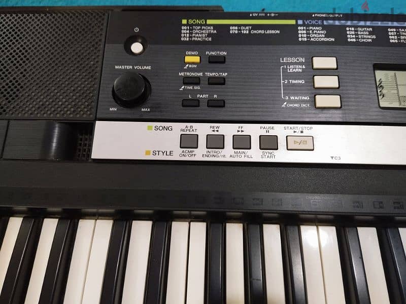 YAMAHA PSR E243 3