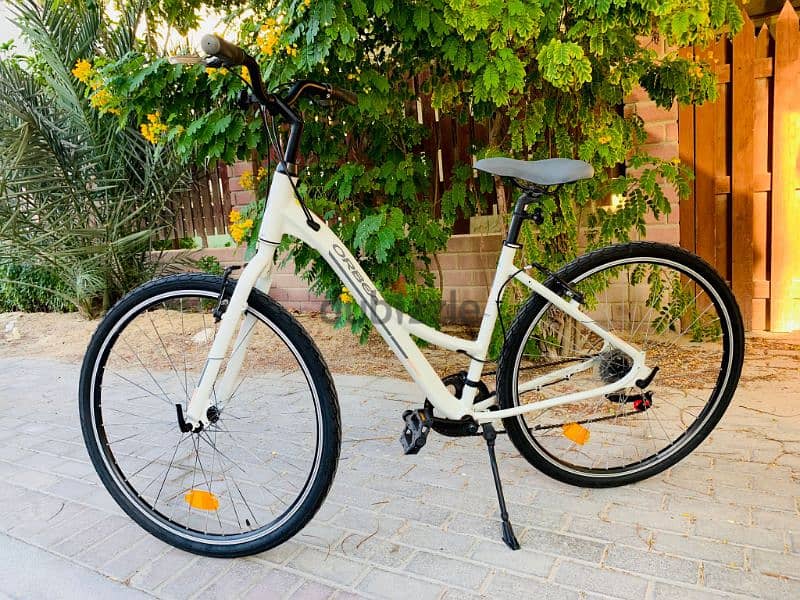 29" Hybrid Branded Bike 1