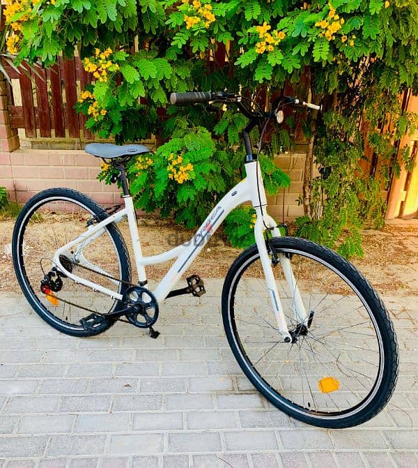 29" Hybrid Branded Bike 2