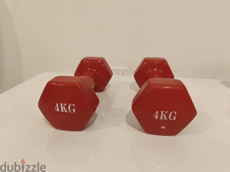 Dumbbell pair 4 kg 1