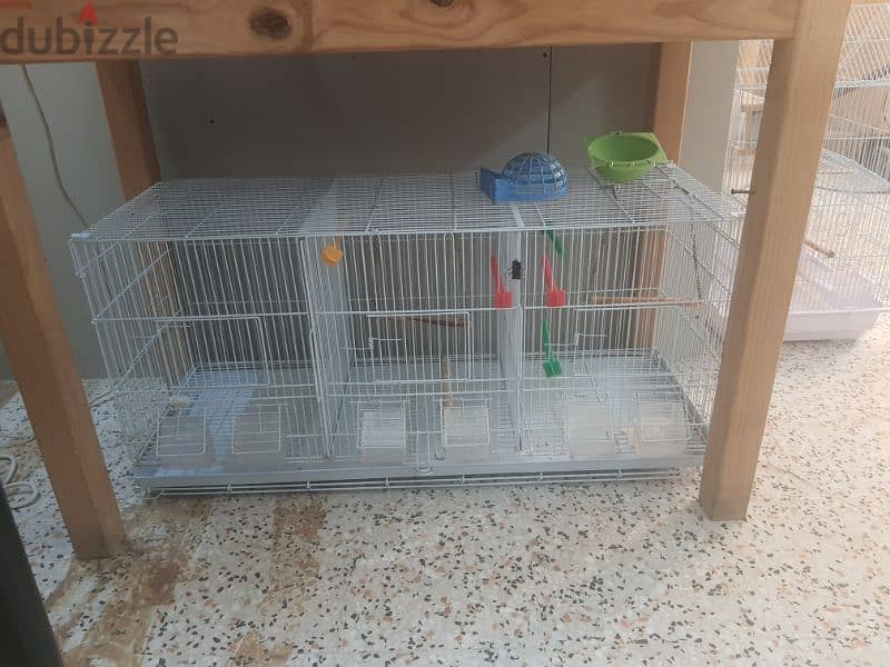 Bird cage 0