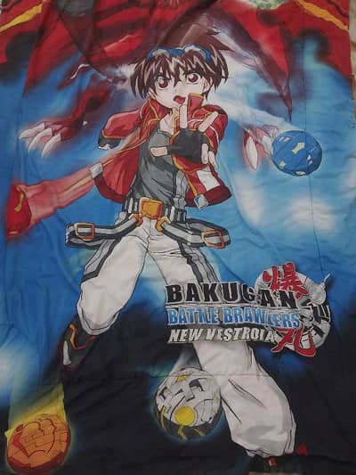 blanket (perfect condition)