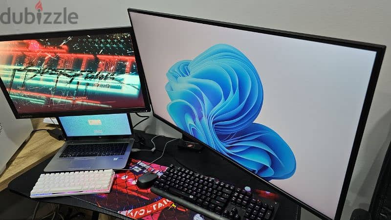 2 monitors with double mount 1