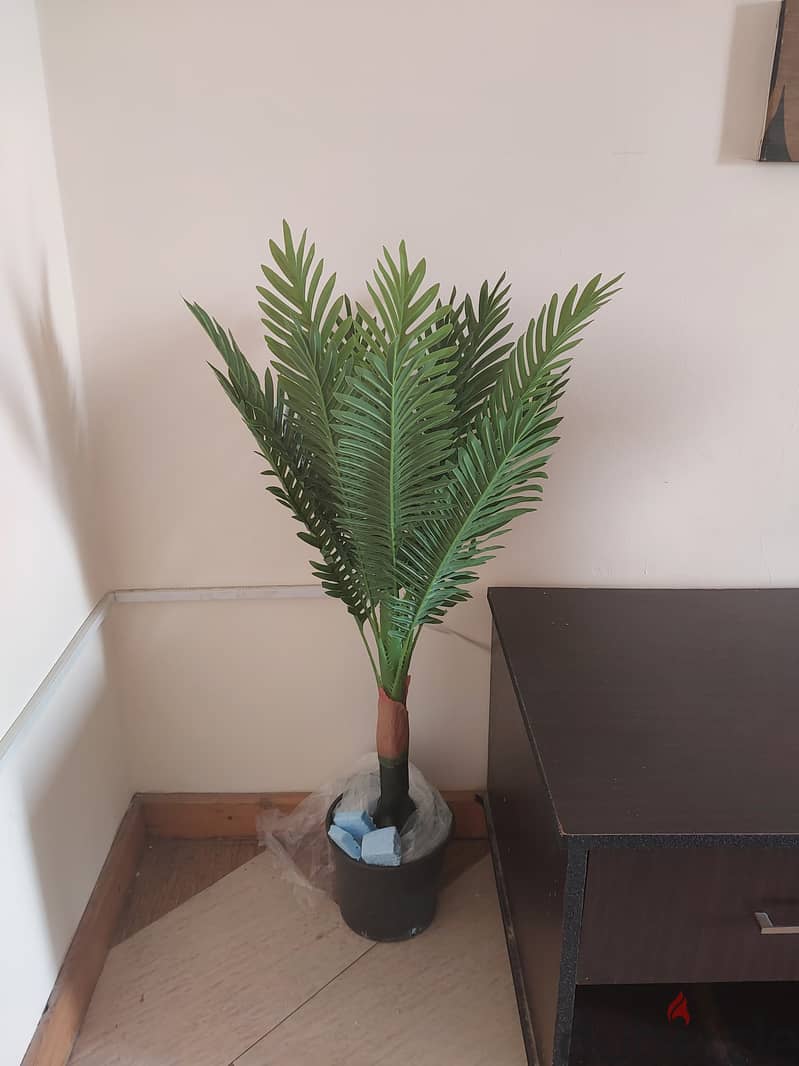 New carpet and 2 artificial plant for sale 0