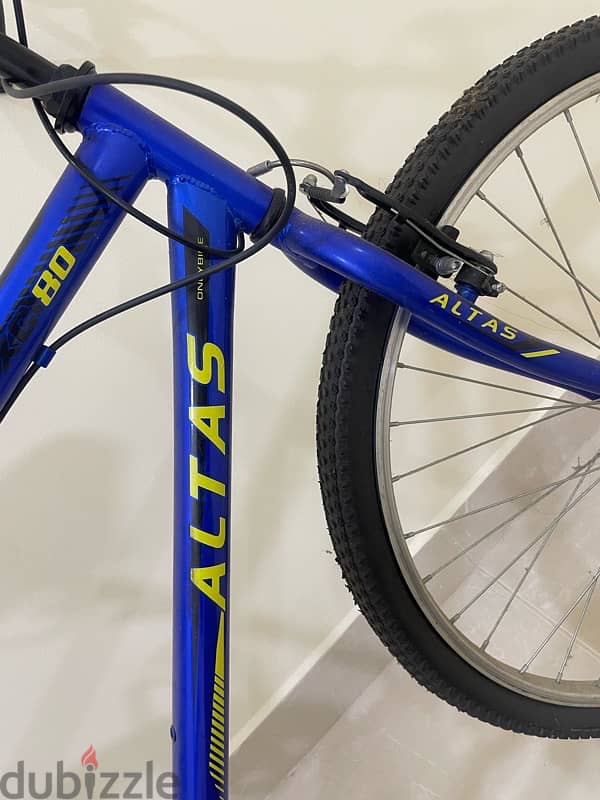 Atlas cycle, single speed 1