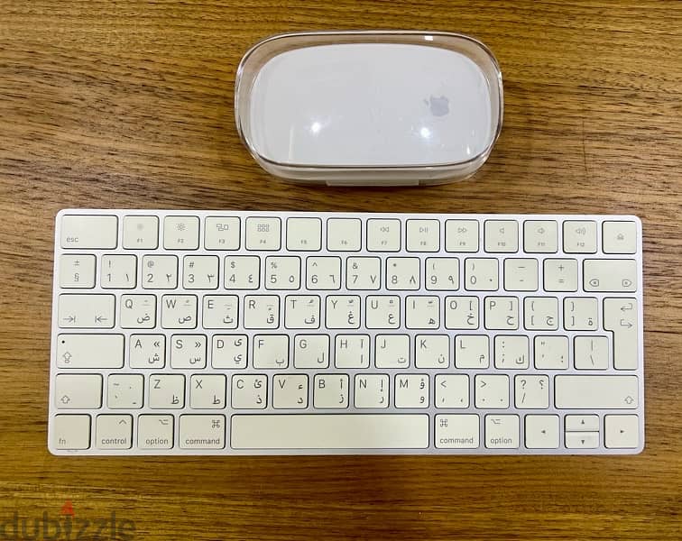 Apple Mouse and Keyboard 0