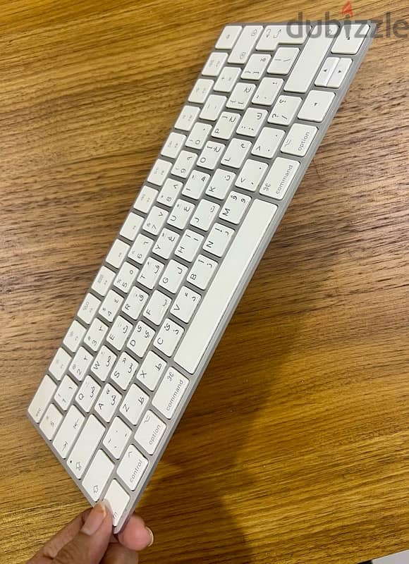 Apple Mouse and Keyboard 5