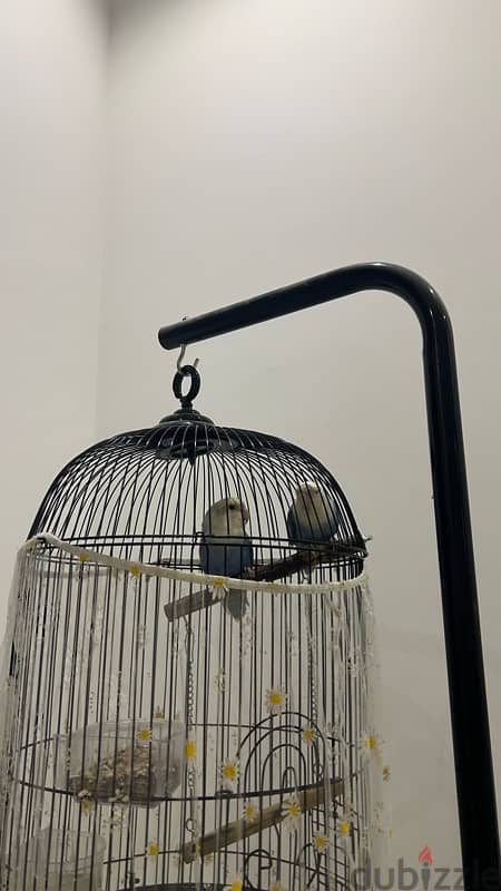 love birds with stand cage 1