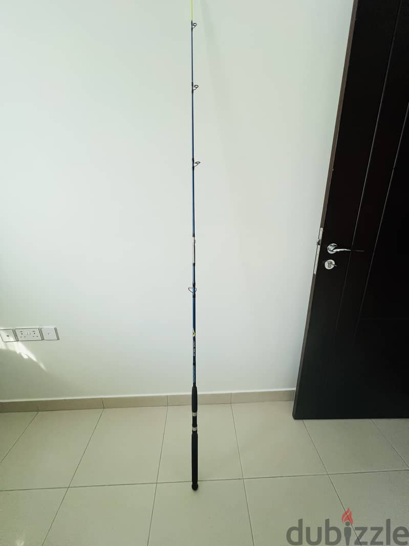 Fishing rod 1