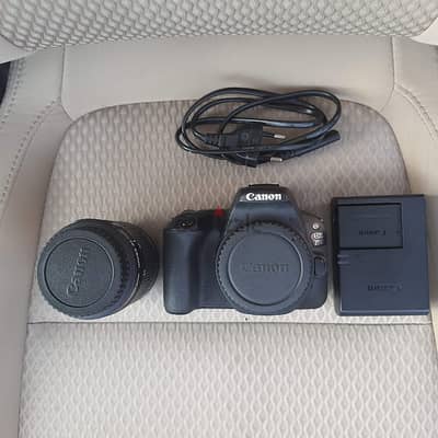 Canon 200D Camera with Directional Mic