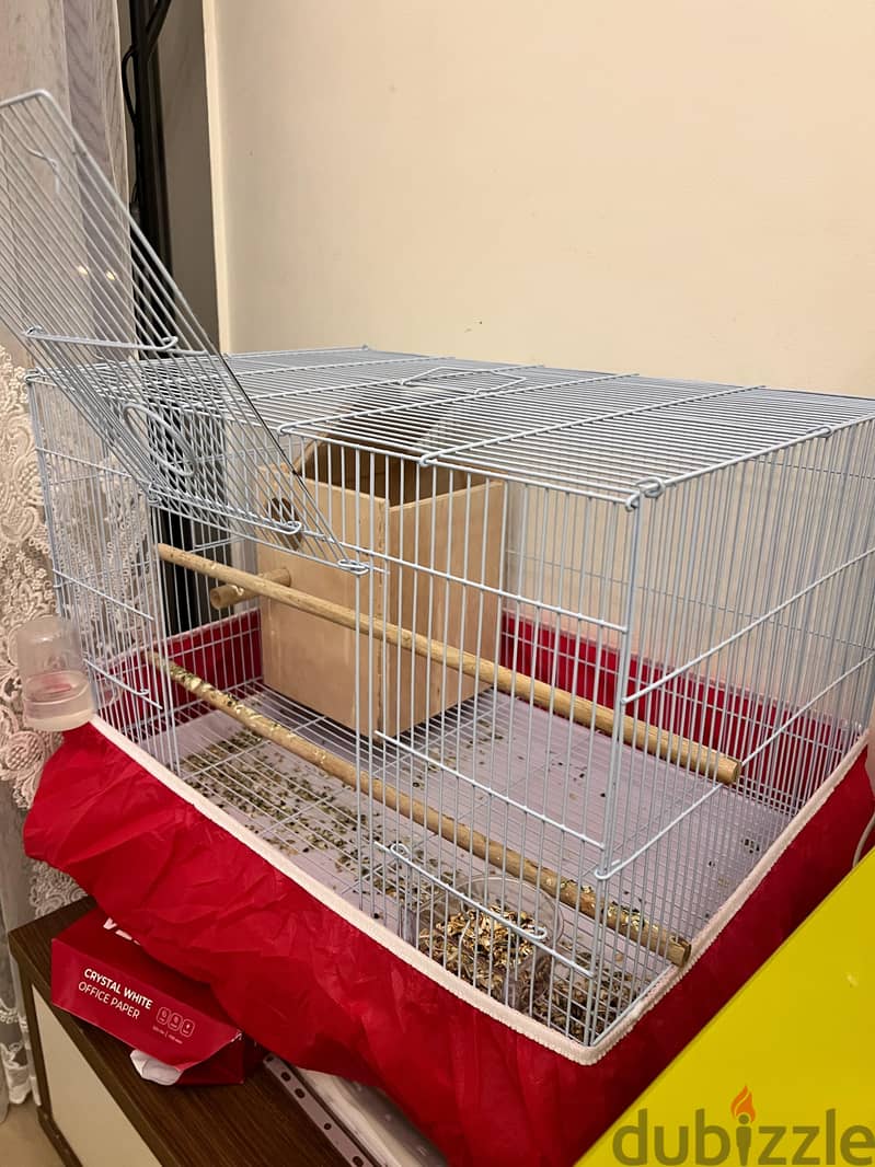 Birds with cages for sale 2