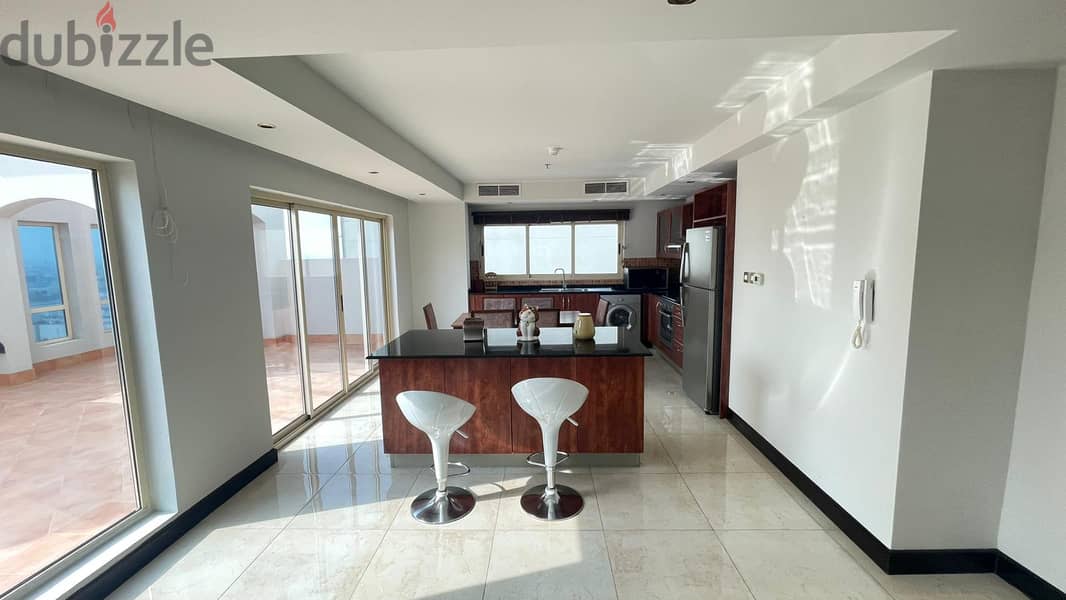 Spacious Penthouse with Large Balcony 2