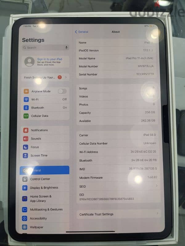 iPad Pro 11 inch M4  256 GB  Cellular+WiFi 2