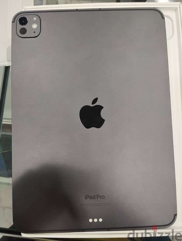 iPad Pro 11 inch M4  256 GB 2