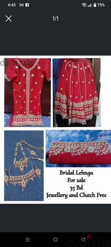 bridel lenga