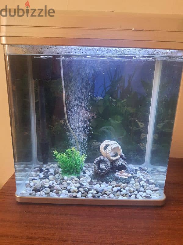 fish tank 0