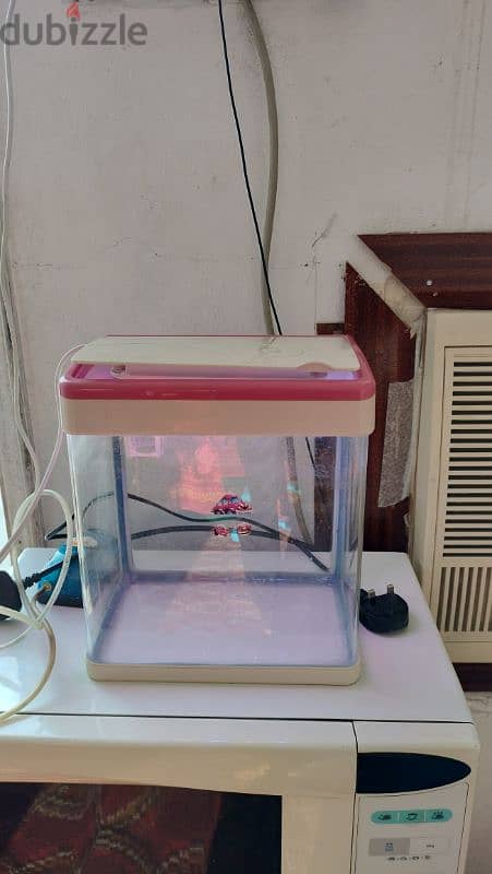 small fish tank for sale 1