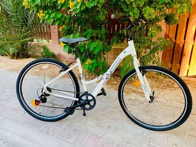 29" Branded Hybrid Bike