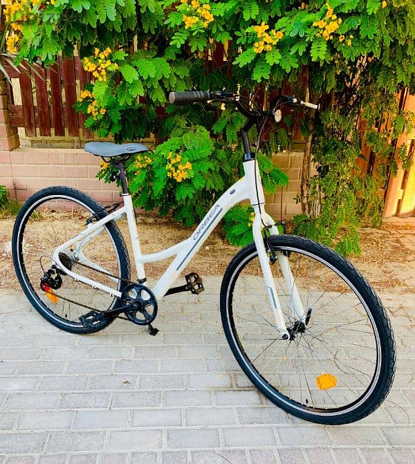 29" Branded Hybrid Bike 2