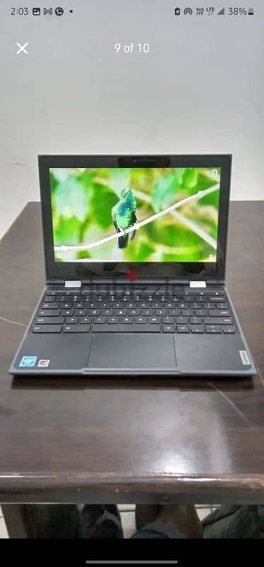 lenove Chromebook touch screen laptop 8