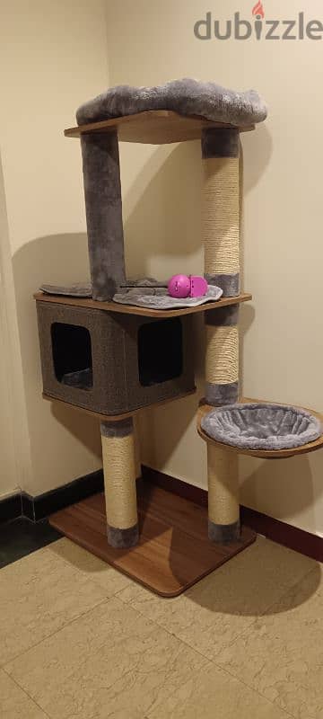 Toys, clothes and accessories for cats 6