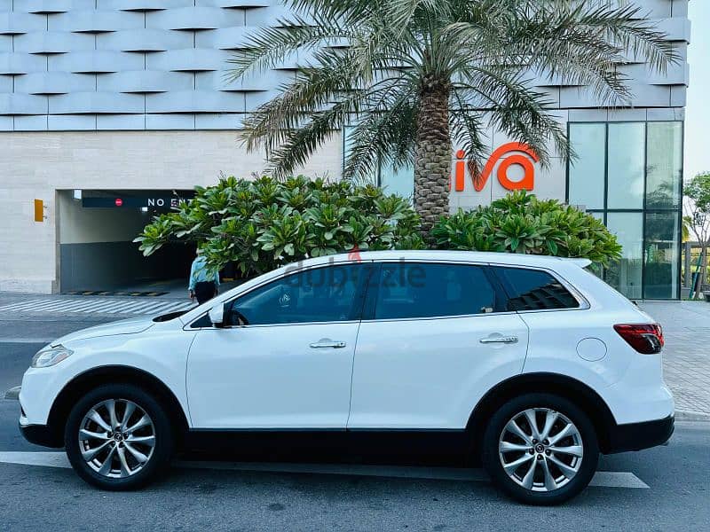 Mazda CX-9 2014 3