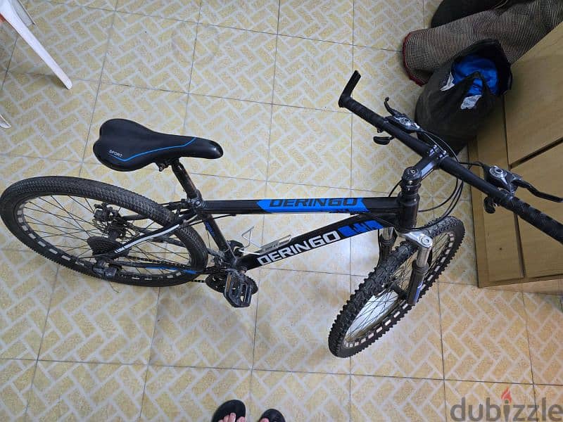 For Sale: Deringo Bicycle in Excellent Condition - 26 Inches 2