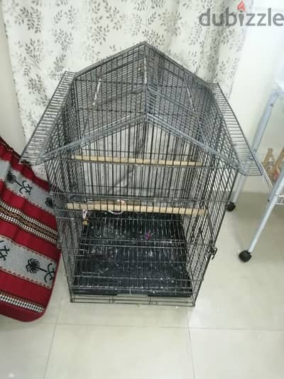 big steel cage for caciko.