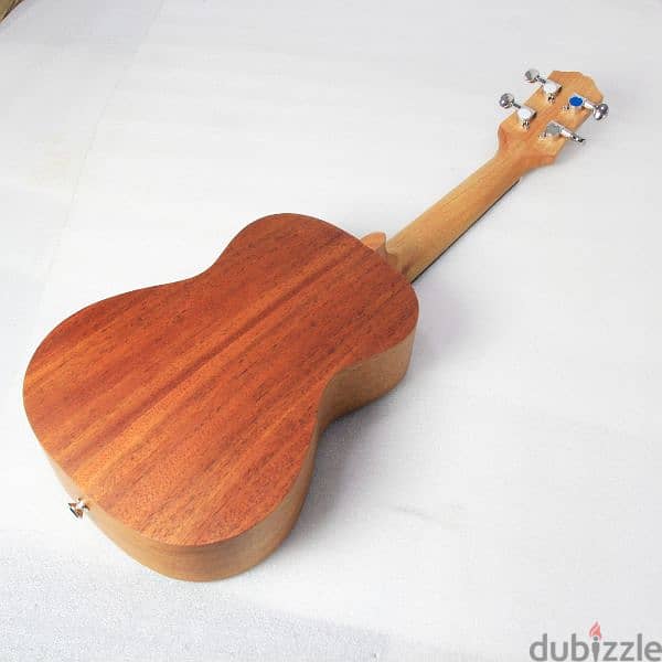 Brand New Ukulele 1