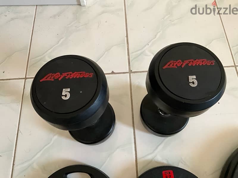 2.5kg weight 10 kg weight /5kg  dumbbell 3