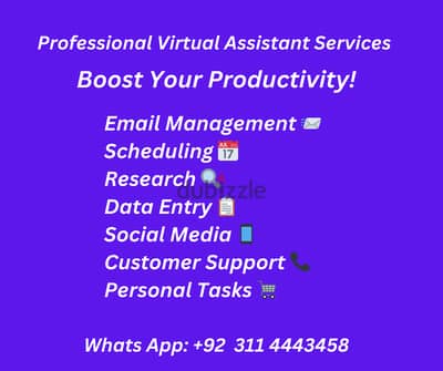 Virtual Assistance & Data Entry Services