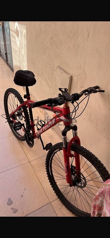 bicycle for sale 1