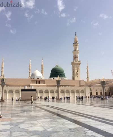 Al madinah travels. .